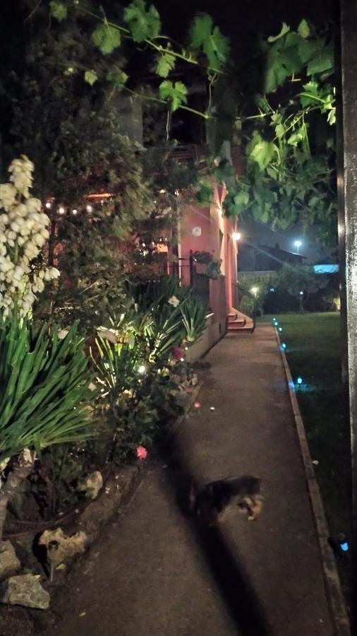 Cuarenta Y Ocho Luces Guest House Burgos Exterior photo